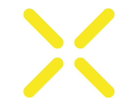 MedX System